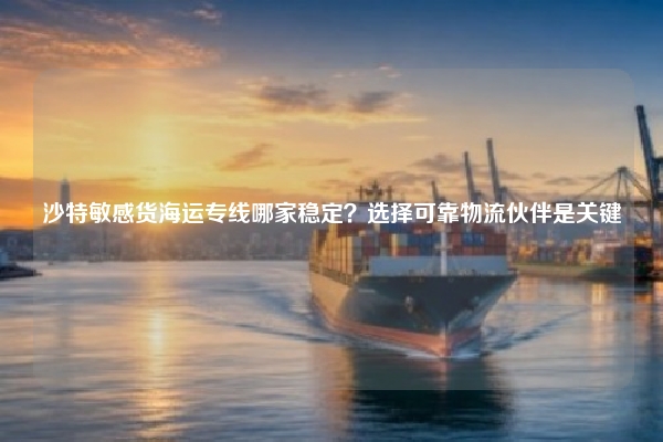 沙特敏感货海运专线哪家稳定？选择可靠物流伙伴是关键