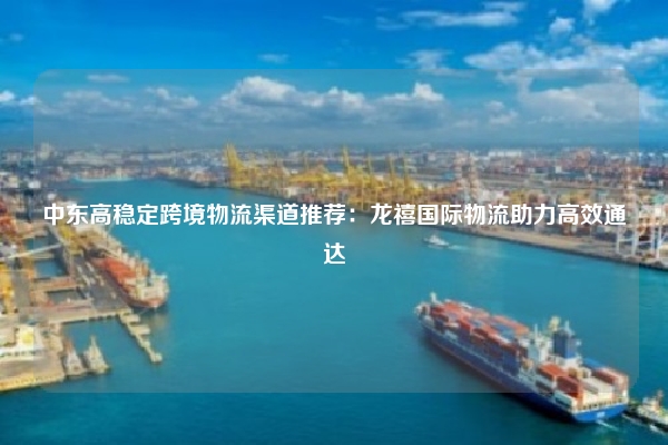 中东高稳定跨境物流渠道推荐：龙禧国际物流助力高效通达