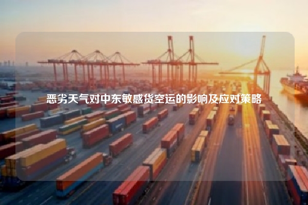 恶劣天气对中东敏感货空运的影响及应对策略