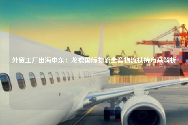 外贸工厂出海中东：龙禧国际物流全套物流扶持方案解析