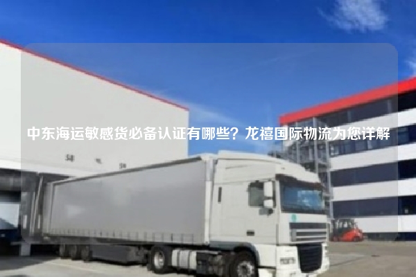 中东海运敏感货必备认证有哪些？龙禧国际物流为您详解